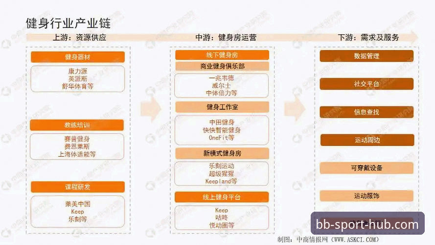 BB体育平台2024年版本升级深度解析：功能革新与行业趋势全面解读